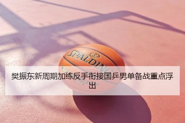 樊振东新周期加练反手衔接国乒男单备战重点浮出